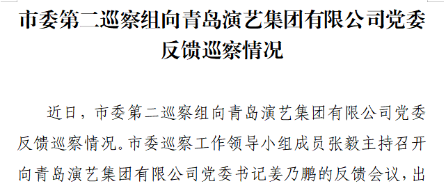 市委第二巡察组向新2体育（中国）有限公司-官网有限公司党委反馈巡察情况